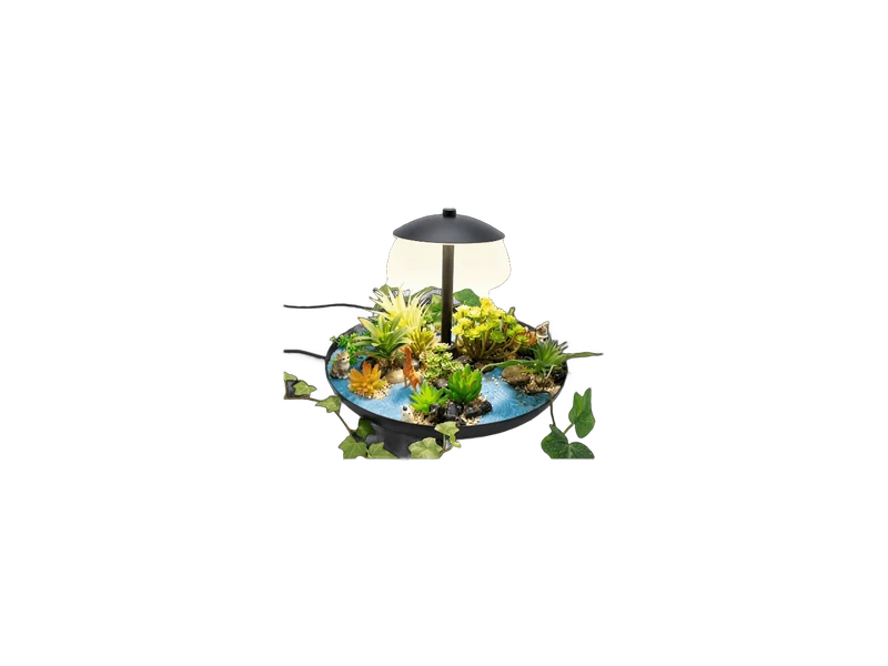Lampe de Table Terrarium / Plateau Végétal LED